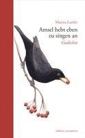 Amsel hebt eben zu singen an 1