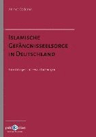 bokomslag Islamische Gefängnisseelsorge in Deutschland