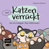 Katzen (sind) verrückt - 40 Gründe, warum deine Katze nicht von dieser Welt ist 1