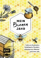 bokomslag Mein Bienenjahr