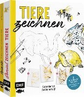 bokomslag Tiere zeichnen - Das XXL-Starter-Set: Zwei Bücher im Bundle