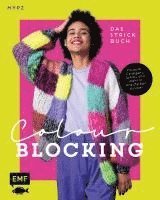 bokomslag Colour Blocking - Das Strickbuch