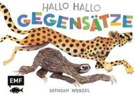 bokomslag Hallo Hallo - Gegensätze