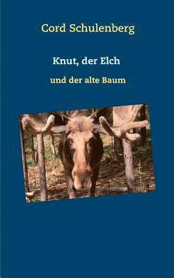 Knut, der Elch 1