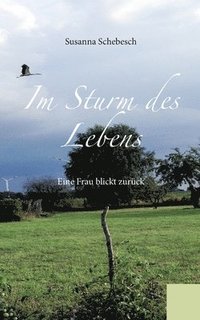 bokomslag Im Sturm des Lebens