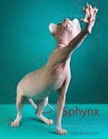 bokomslag Sphynx