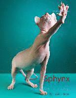 Sphynx 1