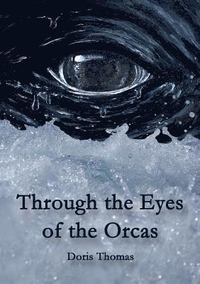 Through the Eyes of the Orcas