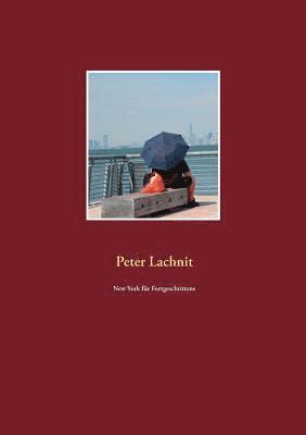 Peter Lachnit - New York für Fortgeschrittene, Häftad
