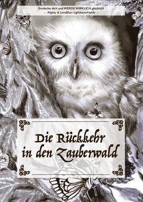 bokomslag Rückkehr in den Zauberwald