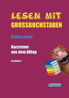 bokomslag Lesen mit Grobuchstaben Tresiemi 1