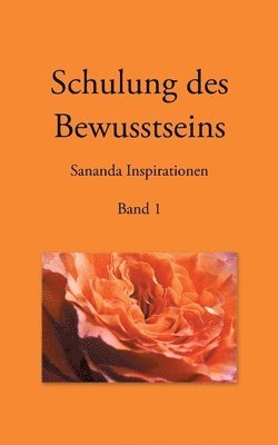 bokomslag Schulung des Bewusstseins - Sananda Inspirationen