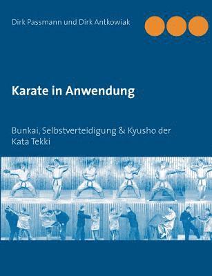 Dirk Passmann, Dirk Antkowiak - Karate in Anwendung, Häftad