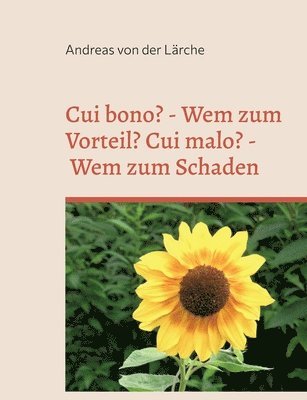 bokomslag Cui bono? - Wem zum Vorteil? Cui malo? - Wem zum Schaden