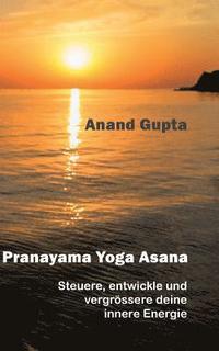 bokomslag Pranayama Yoga Asana