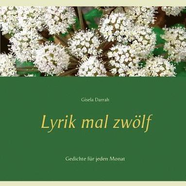 bokomslag Lyrik mal zwölf
