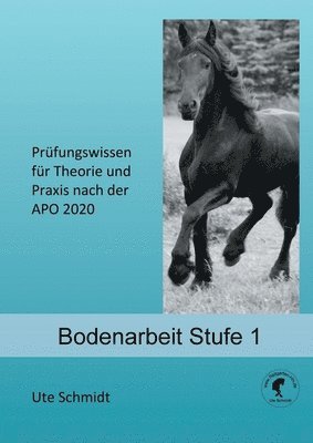 Ute Schmidt - Bodenarbeit, Häftad