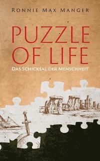 bokomslag Puzzle of Life