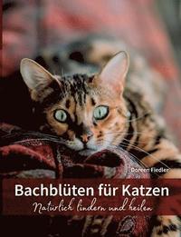 bokomslag Bachblüten für Katzen
