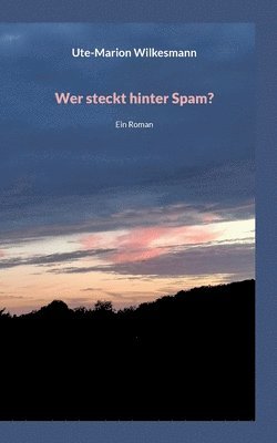 bokomslag Wer steckt hinter Spam