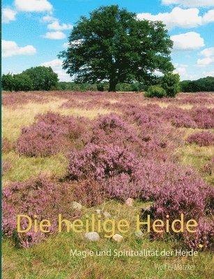 bokomslag Die heilige Heide