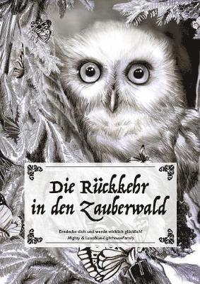bokomslag Rückkehr in den Zauberwald