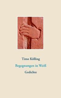 bokomslag Begegnungen in Weiß