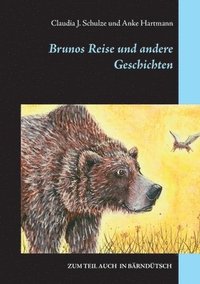 bokomslag Brunos Reise