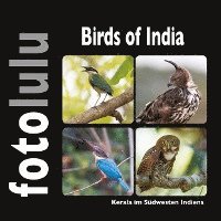 bokomslag Birds of India