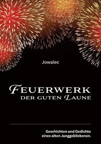 bokomslag Feuerwerk der guten Laune