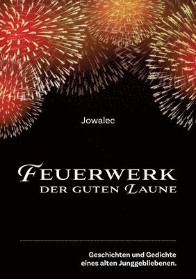 bokomslag Feuerwerk der guten Laune