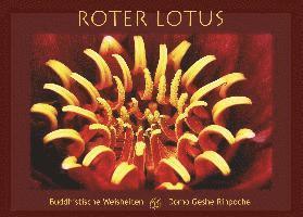 Roter Lotus 1