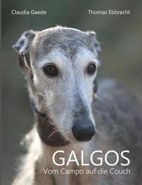 bokomslag Galgos