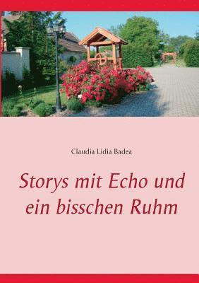 bokomslag Storys mit Echo und ein bisschen Ruhm