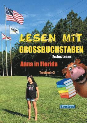 bokomslag Lesen mit Großbuchstaben Tresiemi 3