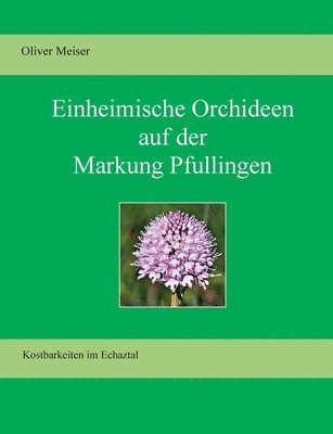 bokomslag Heimische Orchideen auf der Markung Pfullingen