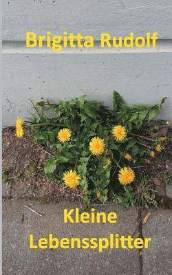 bokomslag Kleine Lebenssplitter