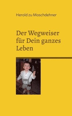 bokomslag Der Wegweiser fr Dein ganzes Leben