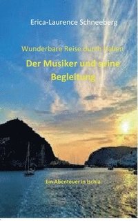 bokomslag Wunderbare Reise-Der Musiker & seine Begleitung