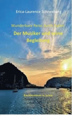 bokomslag Wunderbare Reise-Der Musiker & seine Begleitung