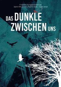 bokomslag Das Dunkle zwischen uns