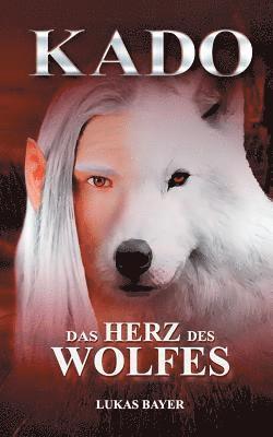 bokomslag Herz des Wolfes