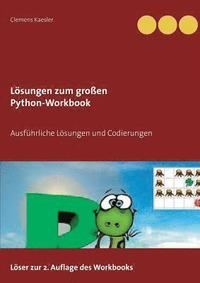 bokomslag Lsungen zum groen Python-Workbook