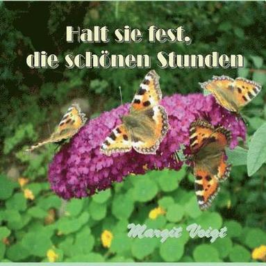 bokomslag Halt sie fest, die schönen Stunden
