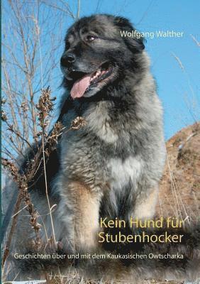 Wolfgang Walther - Kein Hund für Stubenhocker, Häftad