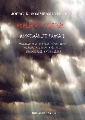Adalbert Stifter, Joerg K Sommermeyer, Orlando Syrg, Joerg K. Sommermeyer - Adalbert Stifters Ausgewählte Prosa I, Häftad