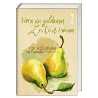 bokomslag Wenn die goldenen Zeiten kommen