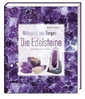 bokomslag Hildegard von Bingen - Die Edelsteine