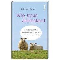 bokomslag Wie Jesus auferstand