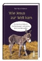 bokomslag Wie Jesus zur Welt kam